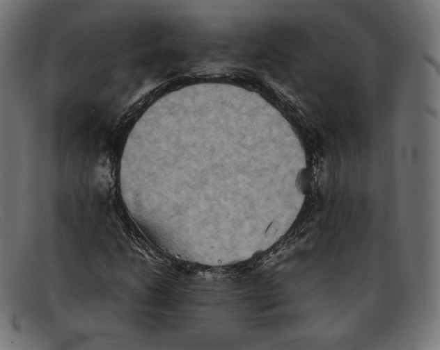 X0000092051206200710101009