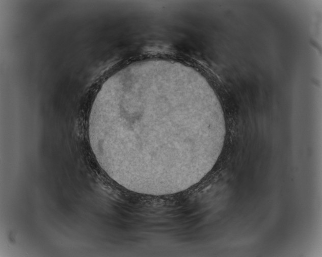 X0000092051207200710101009