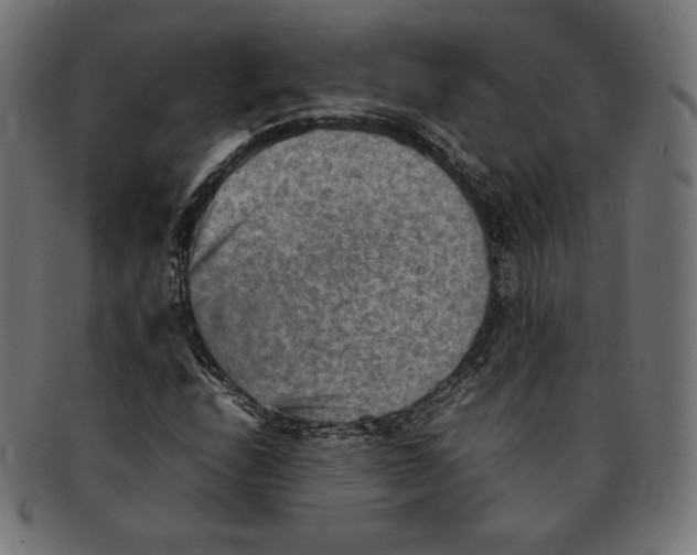 X0000092051208200710101009