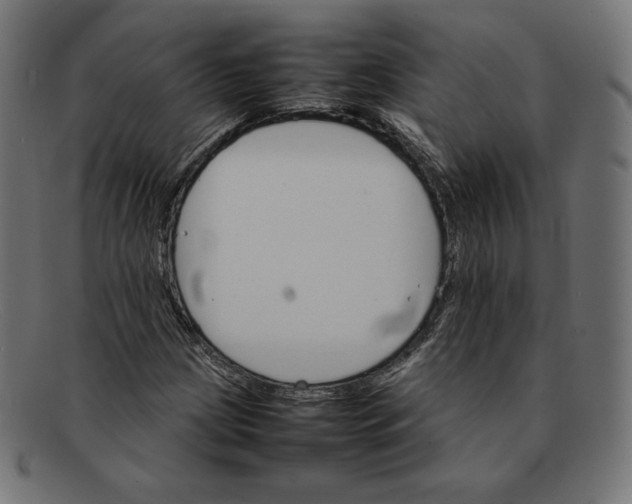 X0000092051209200710101009