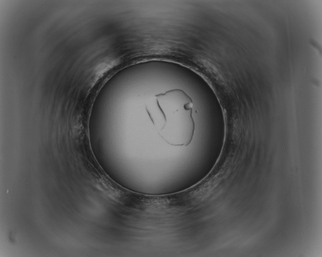 X0000092051210200710101009