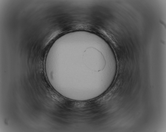 X0000092051211200710101009