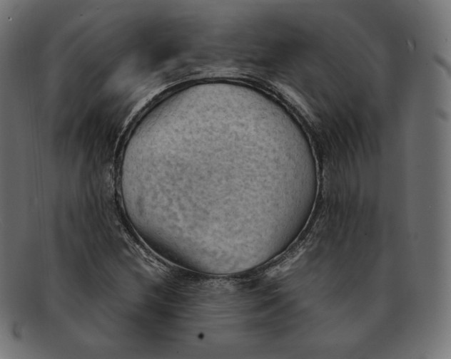 X0000092051212200710101009