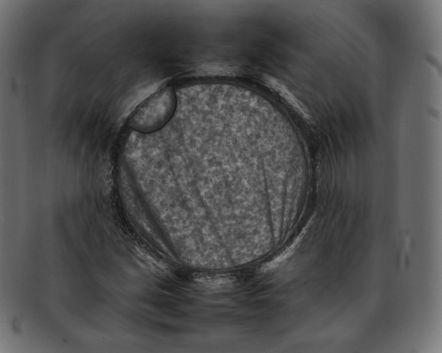 X0000092051213200710101009