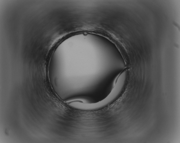 X0000092051214200710101009