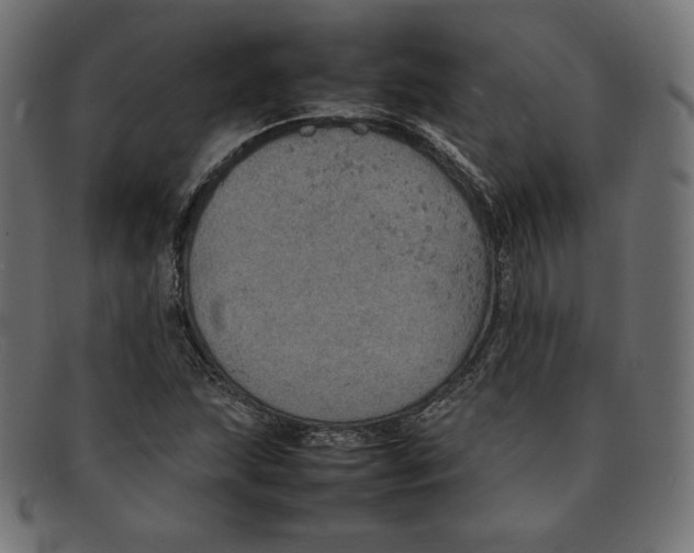 X0000092051215200710101009