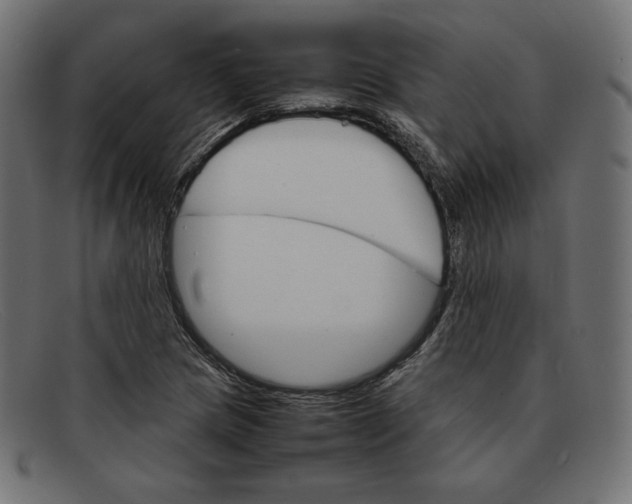 X0000092051217200710101009