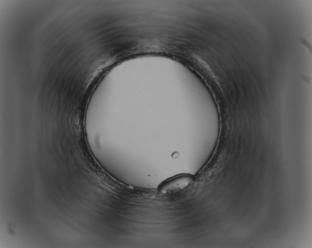 X0000092051218200710101009