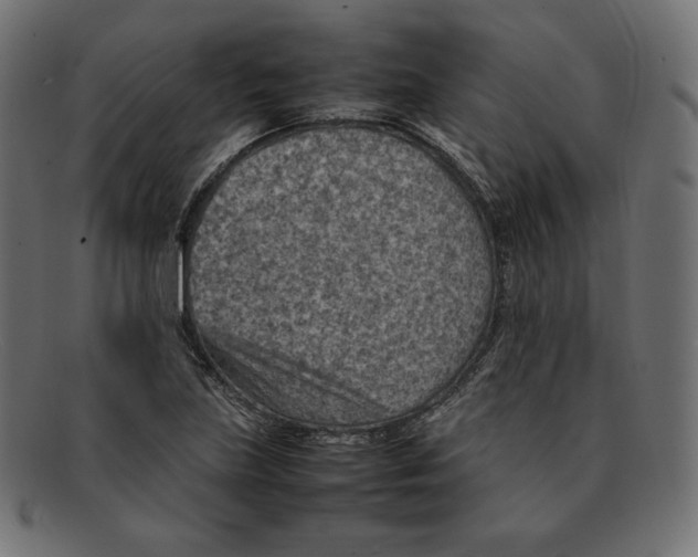 X0000092051219200710101009