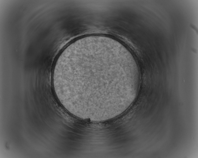 X0000092051220200710101009