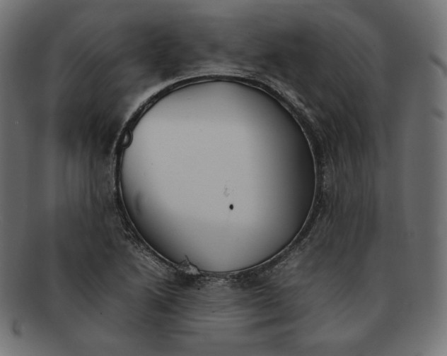 X0000092051222200710101009