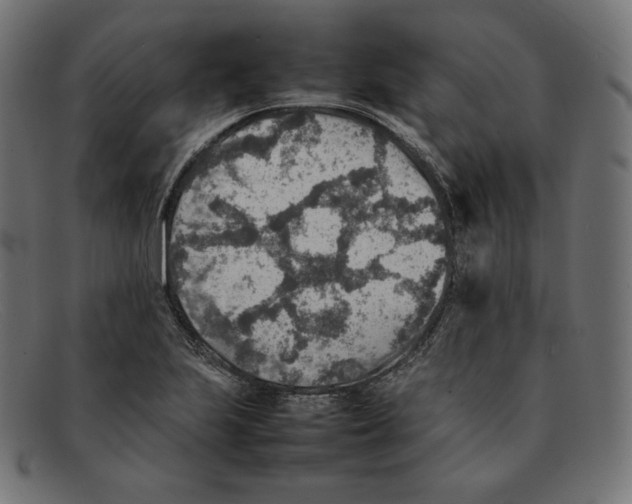 X0000092051223200710101009