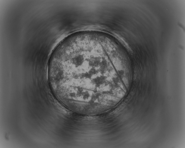 X0000092051224200710101009