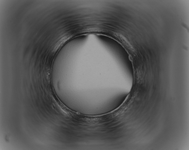 X0000092051225200710101009