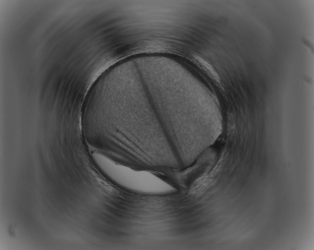 X0000092051226200710101010