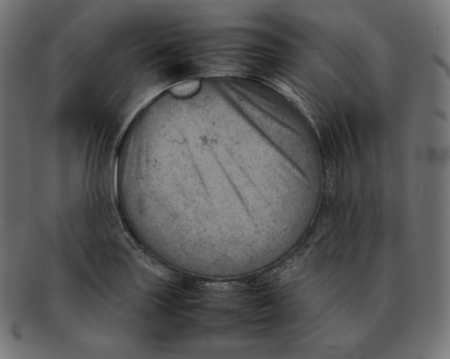 X0000092051227200710101010