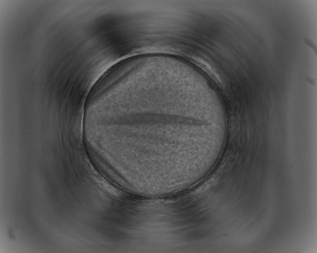 X0000092051228200710101010