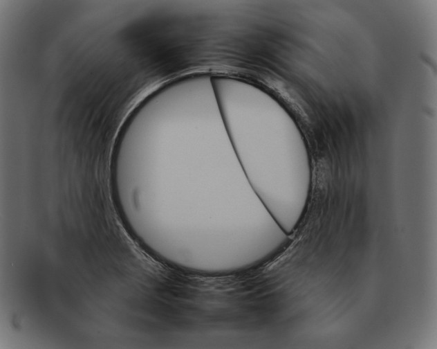 X0000092051229200710101010