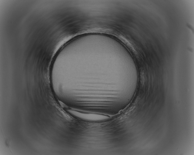 X0000092051230200710101010