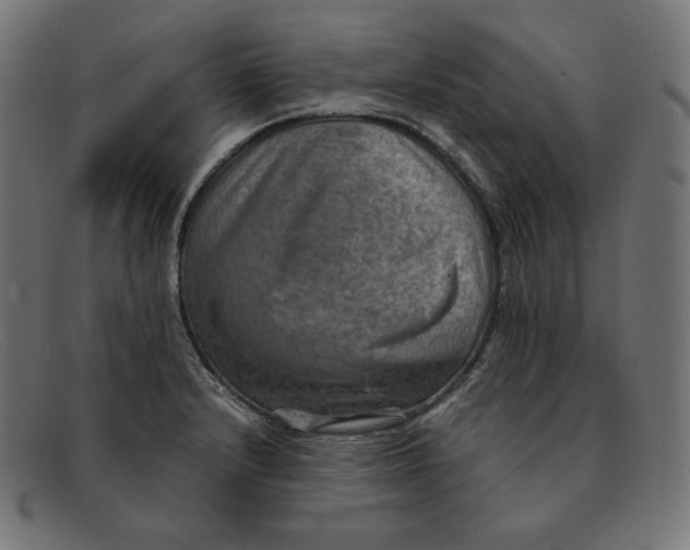 X0000092051232200710101010