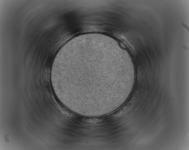 X0000092051233200710101010