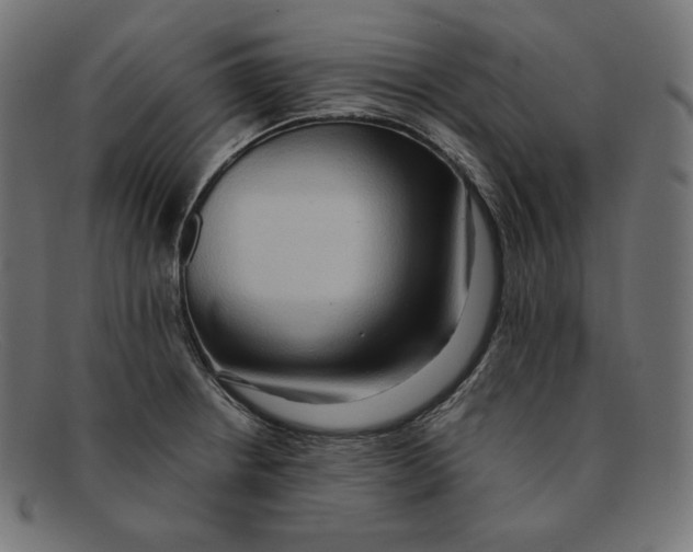 X0000092051234200710101010