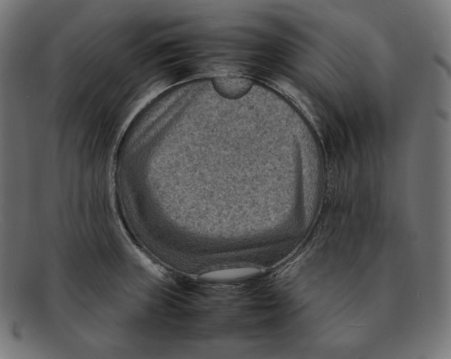 X0000092051235200710101010