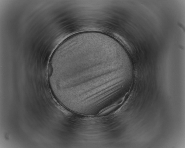 X0000092051236200710101010