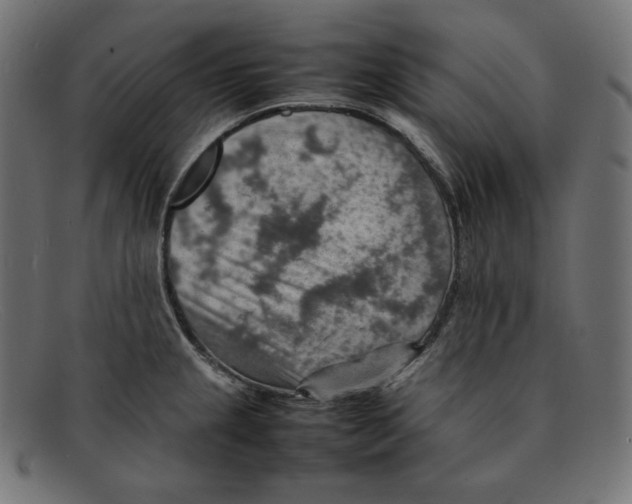 X0000092051237200710101010