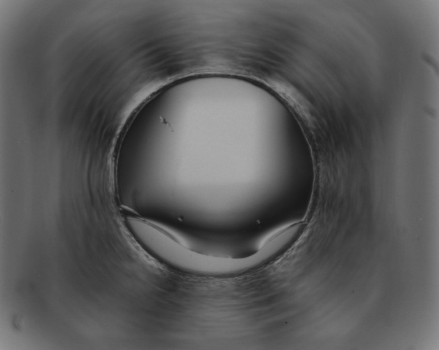 X0000092051238200710101010