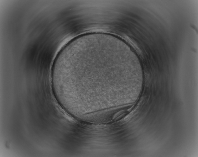 X0000092051240200710101010