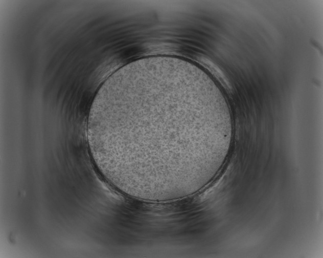 X0000092051241200710101010