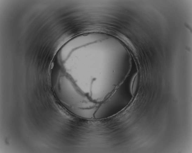 X0000092051242200710101010