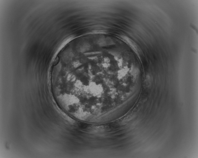 X0000092051243200710101010