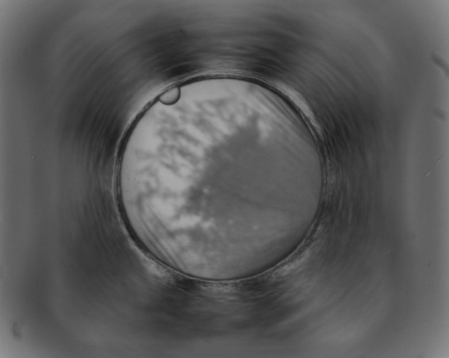 X0000092051245200710101010