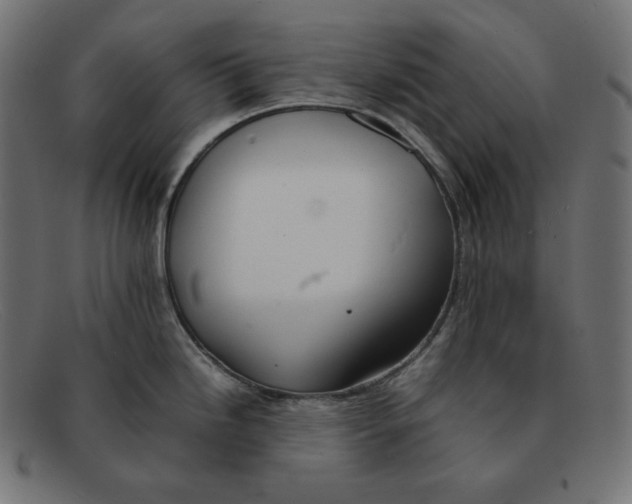 X0000092051246200710101010