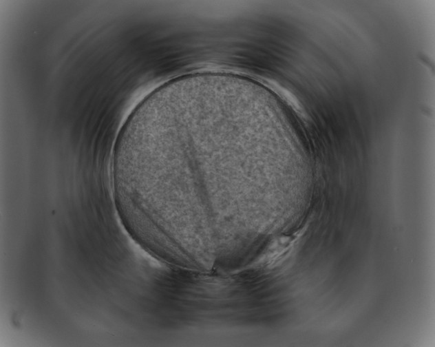 X0000092051247200710101010