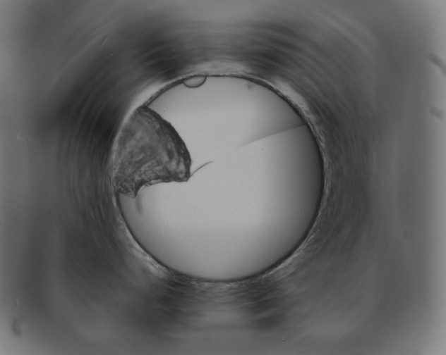 X0000092051248200710101010