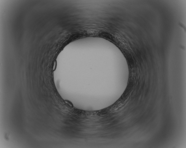 X0000092051249200710101009