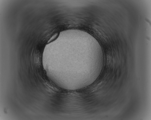 X0000092051250200710101009