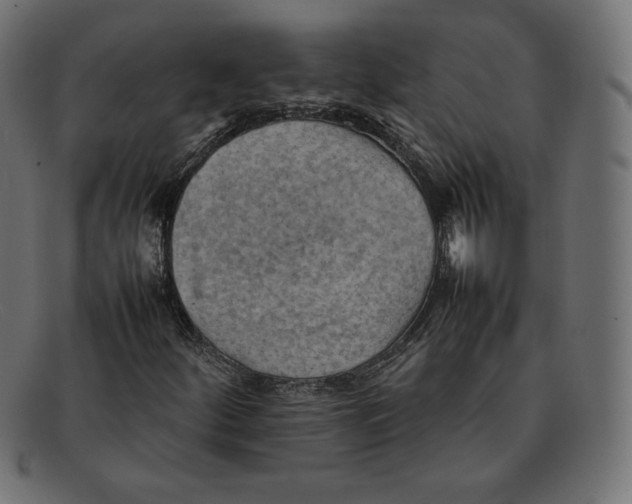 X0000092051252200710101009