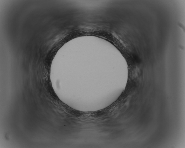 X0000092051253200710101009