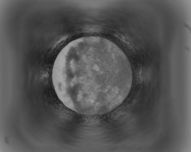 X0000092051254200710101009