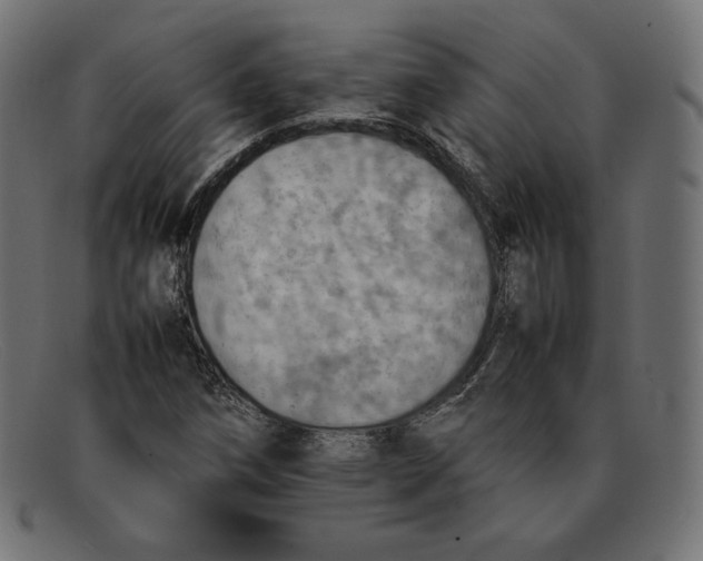 X0000092051258200710101009