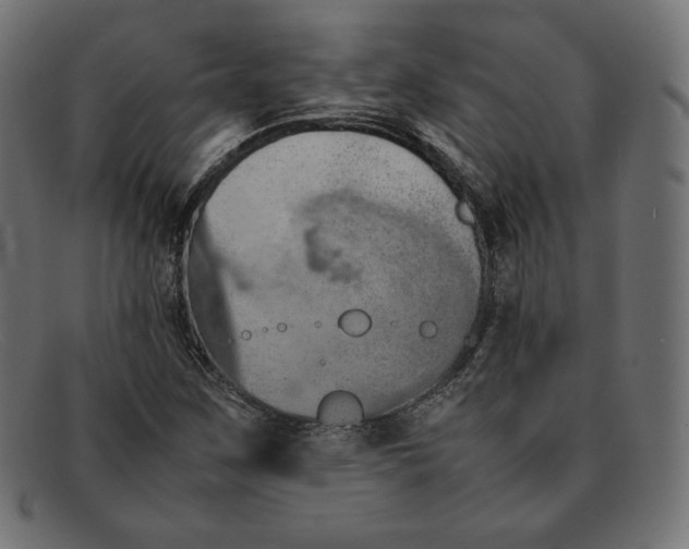 X0000092051259200710101009