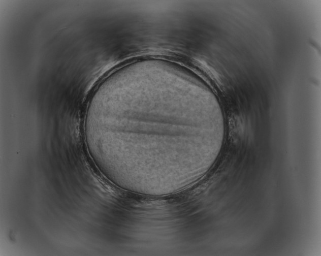 X0000092051260200710101009