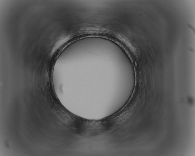 X0000092051261200710101009