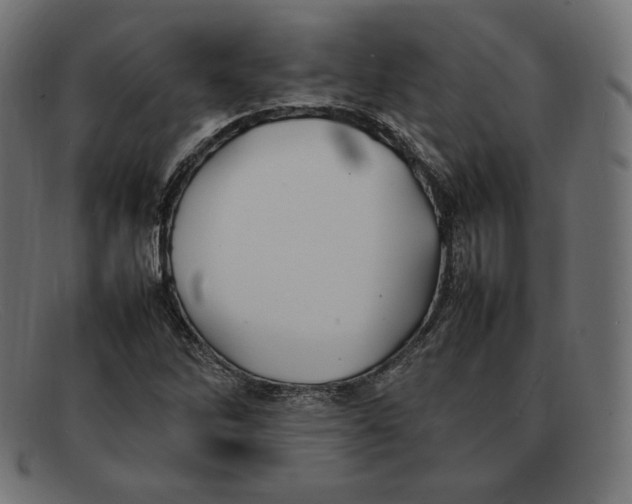 X0000092051262200710101009