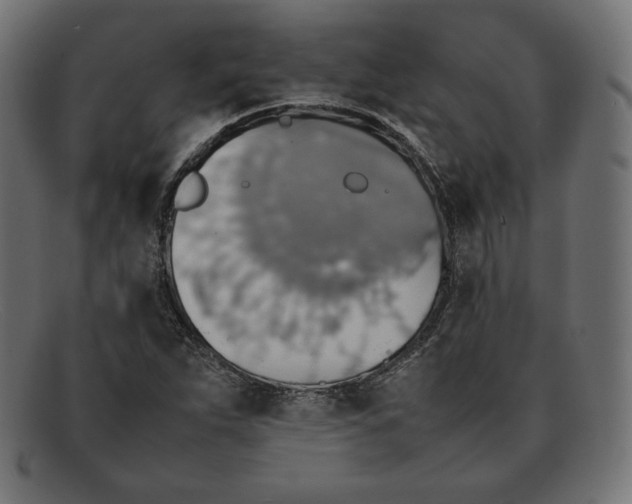 X0000092051263200710101009