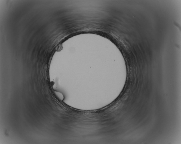 X0000092051265200710101009